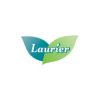 laurier